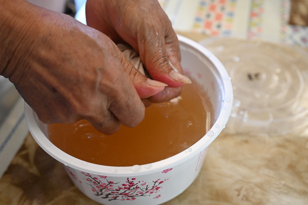 屏東高樹二日遊｜電輔車漫遊大武山下，入住幸福莊園、石獅公文化、品味可可與鳳梨的甜美時光！