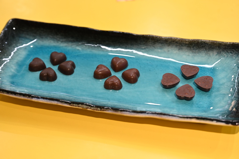 屏東高樹二日遊｜電輔車漫遊大武山下，入住幸福莊園、石獅公文化、品味可可與鳳梨的甜美時光！