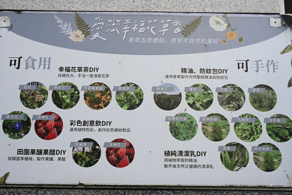 屏東高樹二日遊｜電輔車漫遊大武山下，入住幸福莊園、石獅公文化、品味可可與鳳梨的甜美時光！