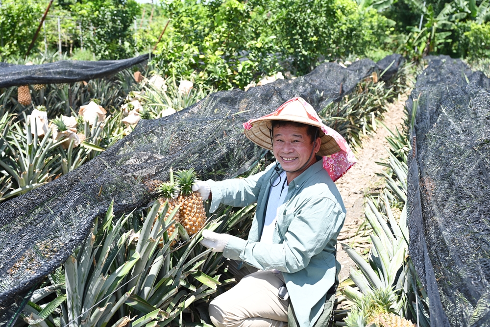 屏東高樹二日遊｜電輔車漫遊大武山下，入住幸福莊園、石獅公文化、品味可可與鳳梨的甜美時光！