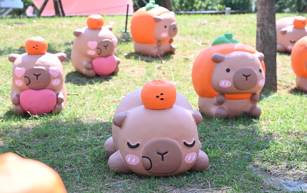 台南安平漁人碼頭｜12米「卡比胖拉」登場！超萌水豚裝置藝術、燈光秀、市集一次玩透透！