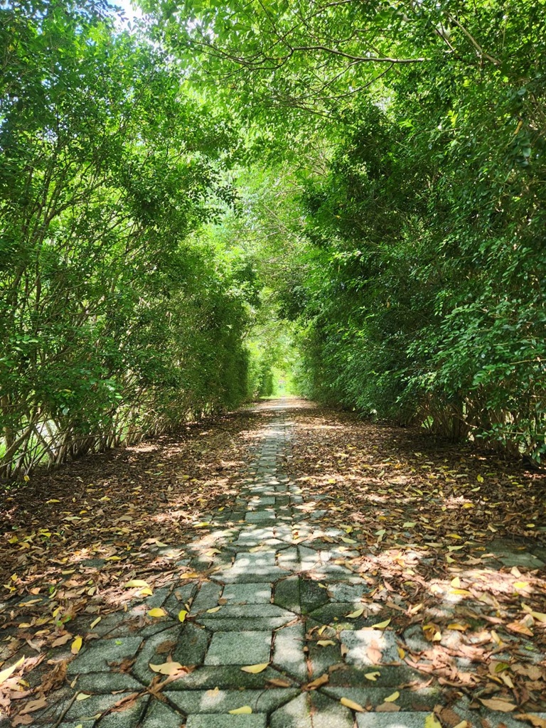 屏東高樹二日遊｜電輔車漫遊大武山下，入住幸福莊園、石獅公文化、品味可可與鳳梨的甜美時光！