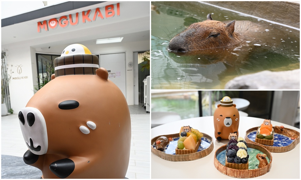 甜點控必訪！MOGU KABI 夏威夷豆塔、水果塔 × 超萌水豚陪你下午茶！台南免門票推薦！