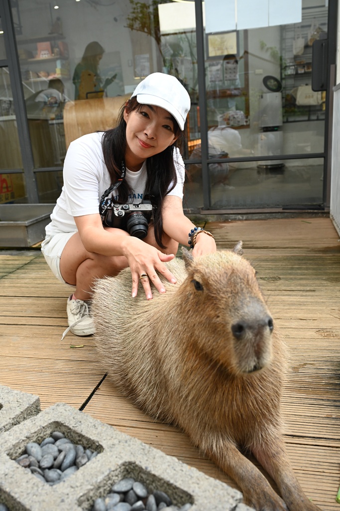 甜點控必訪！MOGU KABI 夏威夷豆塔、水果塔 × 超萌水豚陪你下午茶！台南免門票推薦！