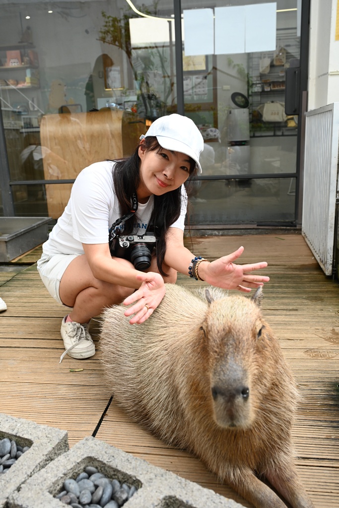 甜點控必訪！MOGU KABI 夏威夷豆塔、水果塔 × 超萌水豚陪你下午茶！台南免門票推薦！