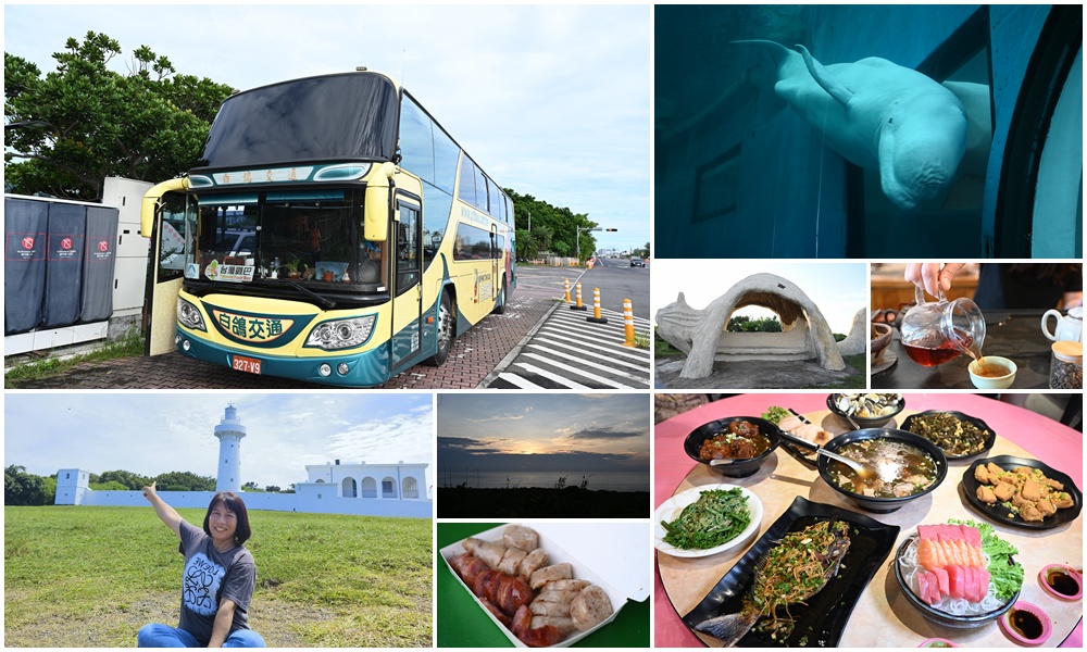 台灣觀巴｜恆春半島全島旅遊線一日遊、海生館、小白鯨、港口茶一次玩透透！