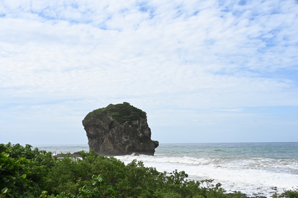 台灣觀巴｜恆春半島全島旅遊線一日遊、海生館、小白鯨、港口茶一次玩透透！