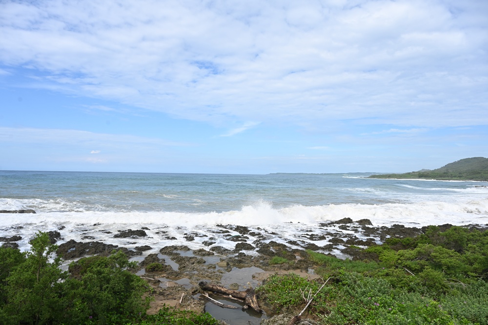 台灣觀巴｜恆春半島全島旅遊線一日遊、海生館、小白鯨、港口茶一次玩透透！