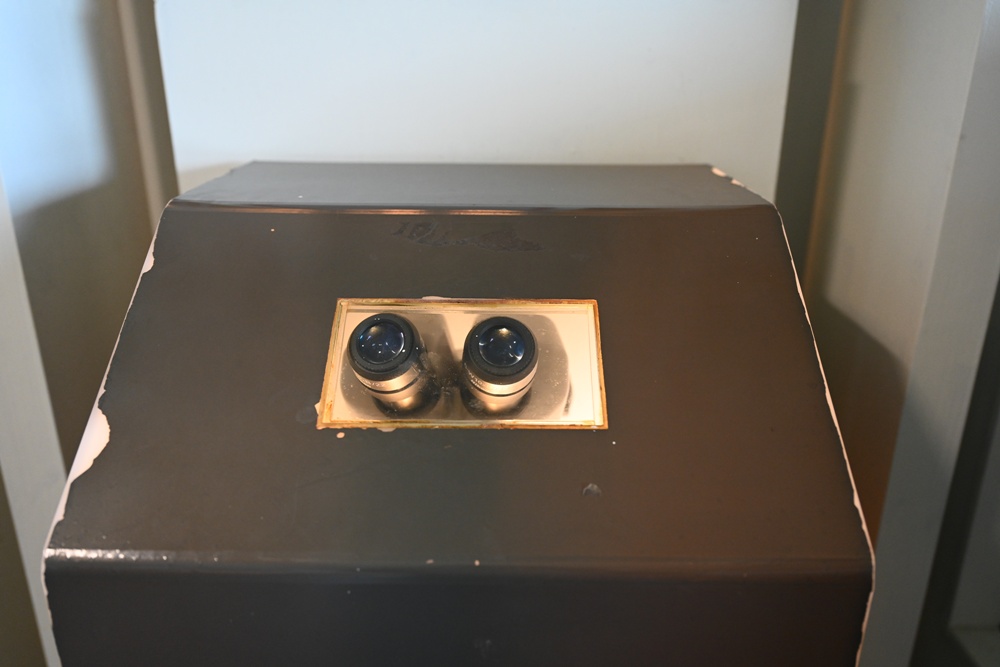 台灣觀巴｜恆春半島全島旅遊線一日遊、海生館、小白鯨、港口茶一次玩透透！