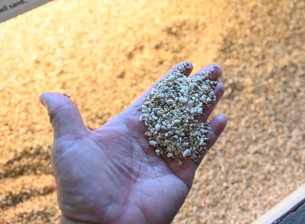 台灣觀巴｜恆春半島全島旅遊線一日遊、海生館、小白鯨、港口茶一次玩透透！