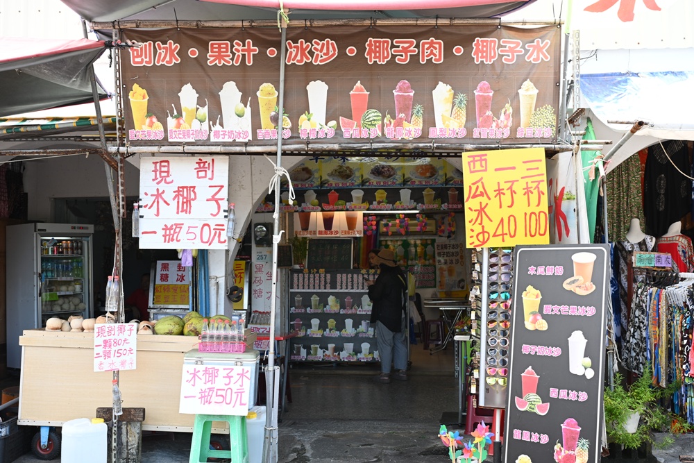 台灣觀巴｜恆春半島全島旅遊線一日遊、海生館、小白鯨、港口茶一次玩透透！