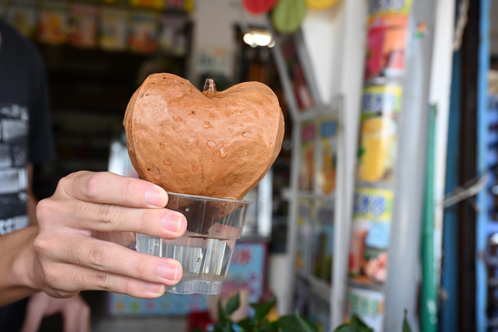 台灣觀巴｜恆春半島全島旅遊線一日遊、海生館、小白鯨、港口茶一次玩透透！