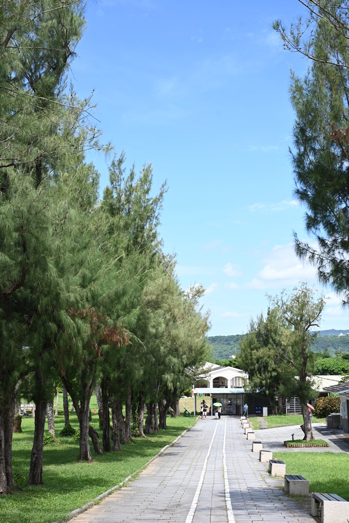 台灣觀巴｜恆春半島全島旅遊線一日遊、海生館、小白鯨、港口茶一次玩透透！