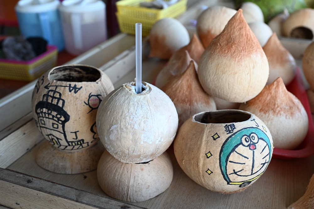 台灣觀巴｜恆春半島全島旅遊線一日遊、海生館、小白鯨、港口茶一次玩透透！