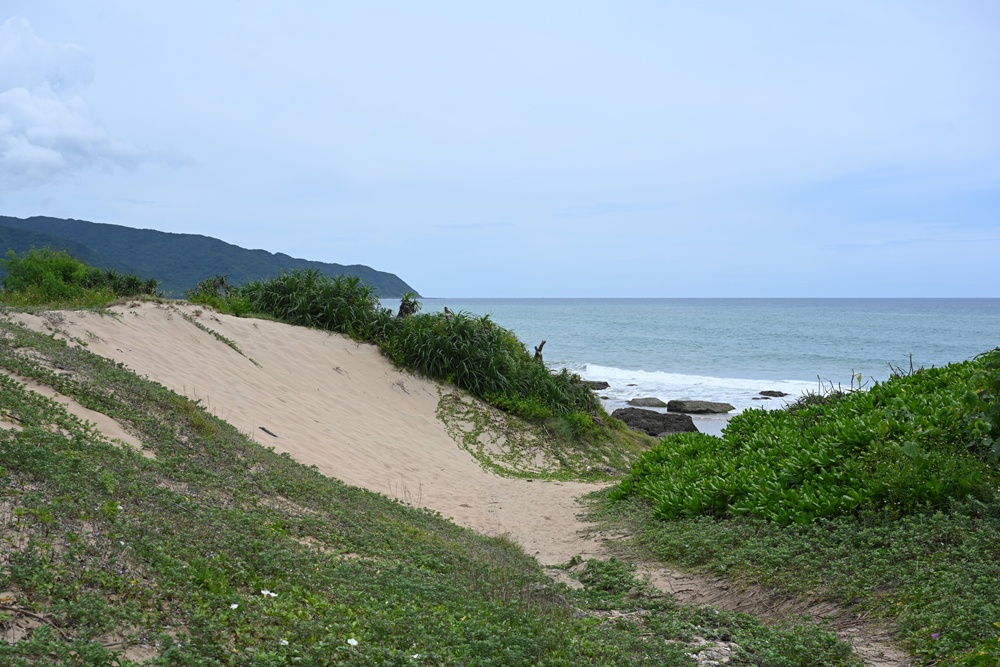 台灣觀巴｜恆春半島全島旅遊線一日遊、海生館、小白鯨、港口茶一次玩透透！
