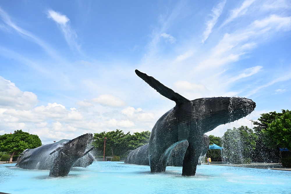 台灣觀巴｜恆春半島全島旅遊線一日遊、海生館、小白鯨、港口茶一次玩透透！
