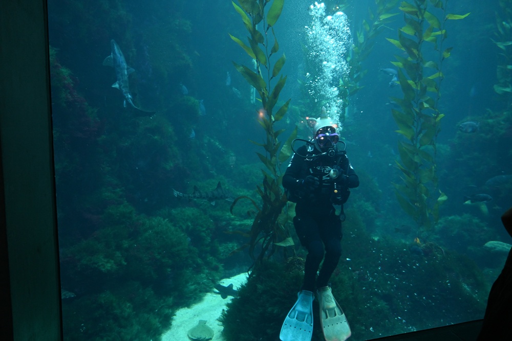 台灣觀巴｜恆春半島全島旅遊線一日遊、海生館、小白鯨、港口茶一次玩透透！
