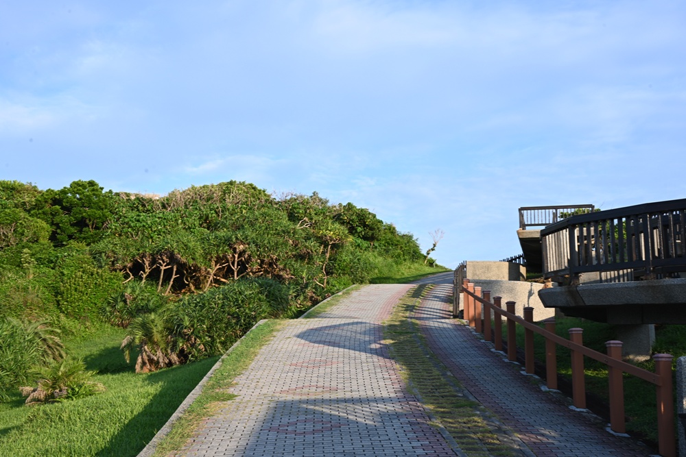 台灣觀巴｜恆春半島全島旅遊線一日遊、海生館、小白鯨、港口茶一次玩透透！