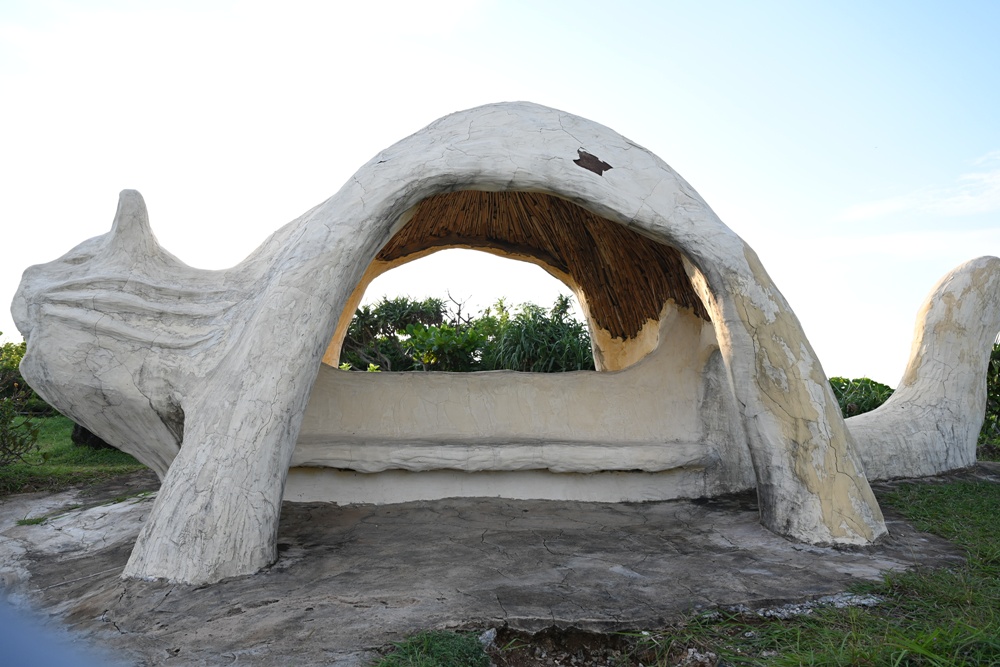 台灣觀巴｜恆春半島全島旅遊線一日遊、海生館、小白鯨、港口茶一次玩透透！