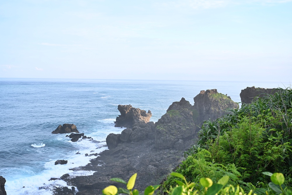 台灣觀巴｜恆春半島全島旅遊線一日遊、海生館、小白鯨、港口茶一次玩透透！