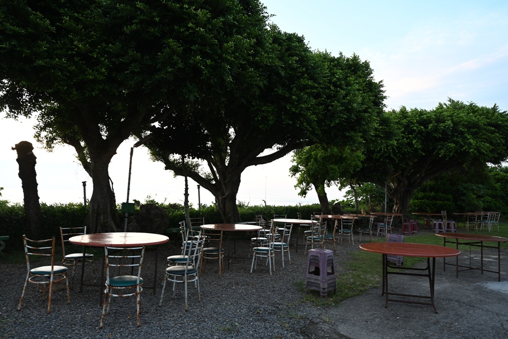 台灣觀巴｜恆春半島全島旅遊線一日遊、海生館、小白鯨、港口茶一次玩透透！