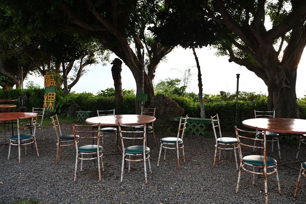 台灣觀巴｜恆春半島全島旅遊線一日遊、海生館、小白鯨、港口茶一次玩透透！