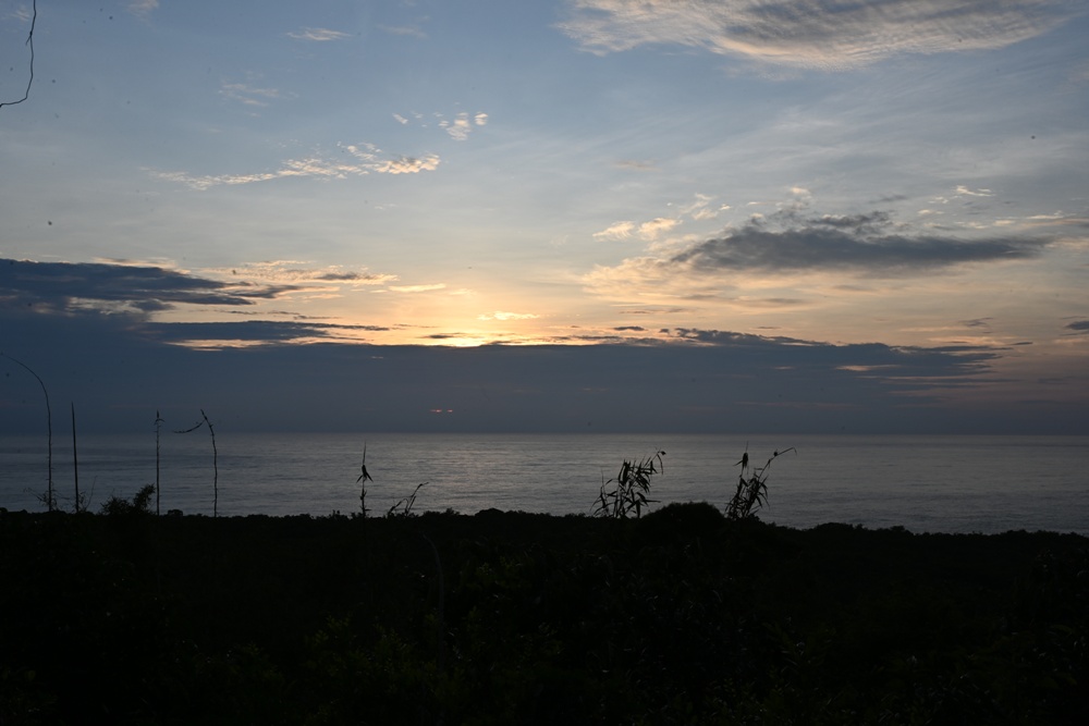 台灣觀巴｜恆春半島全島旅遊線一日遊、海生館、小白鯨、港口茶一次玩透透！