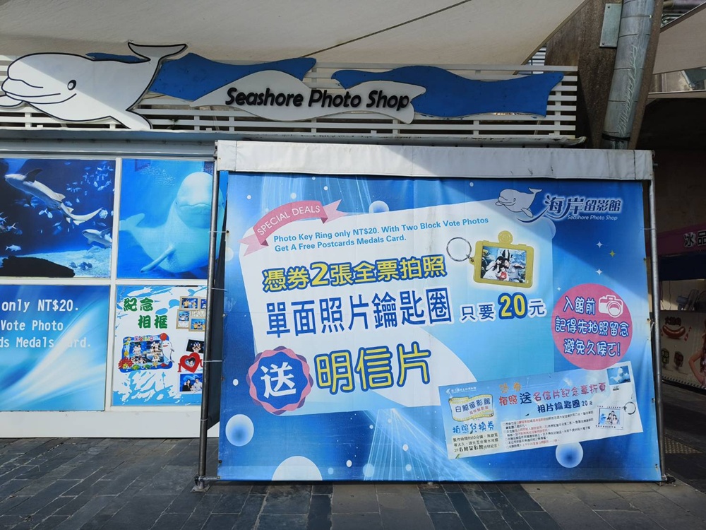 台灣觀巴｜恆春半島全島旅遊線一日遊、海生館、小白鯨、港口茶一次玩透透！