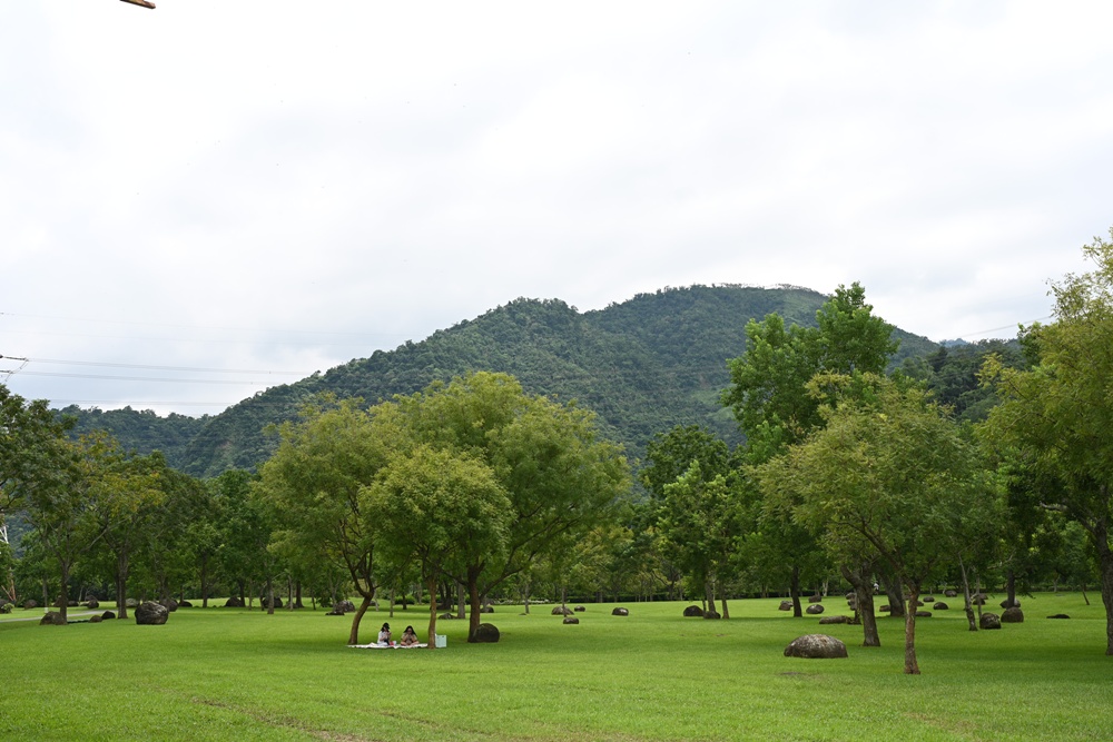 2025阿里山四季茶旅｜秋季茶會 跨越國界的茶旅盛宴！