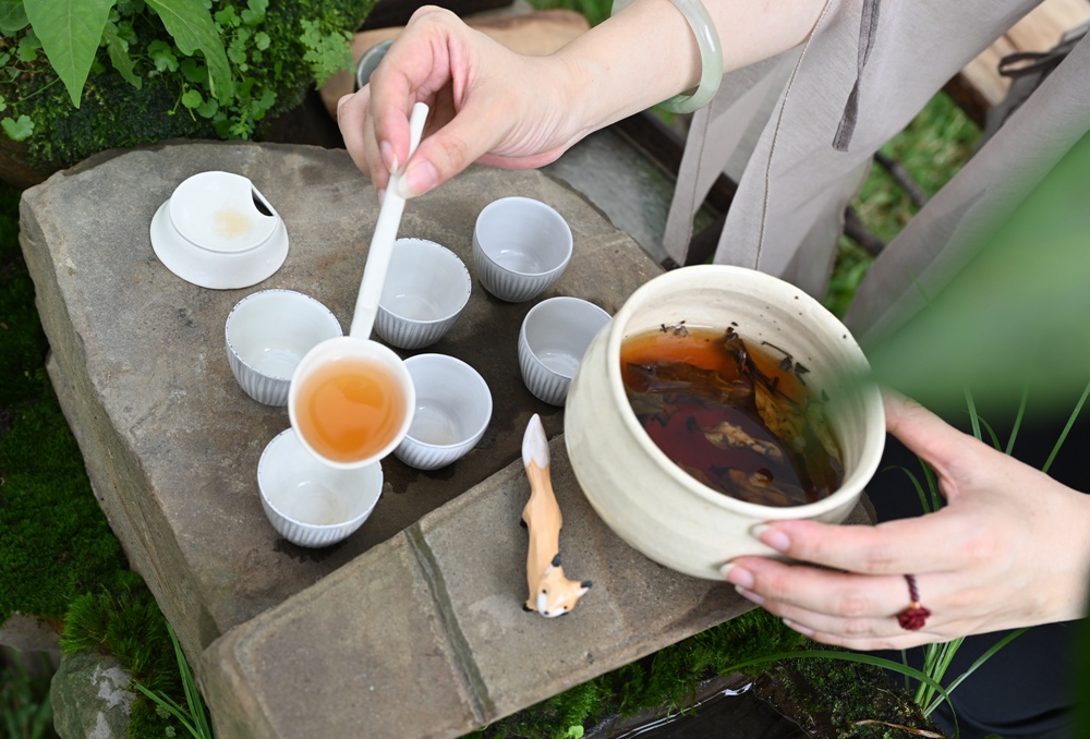 2025阿里山四季茶旅｜秋季茶會 跨越國界的茶旅盛宴！