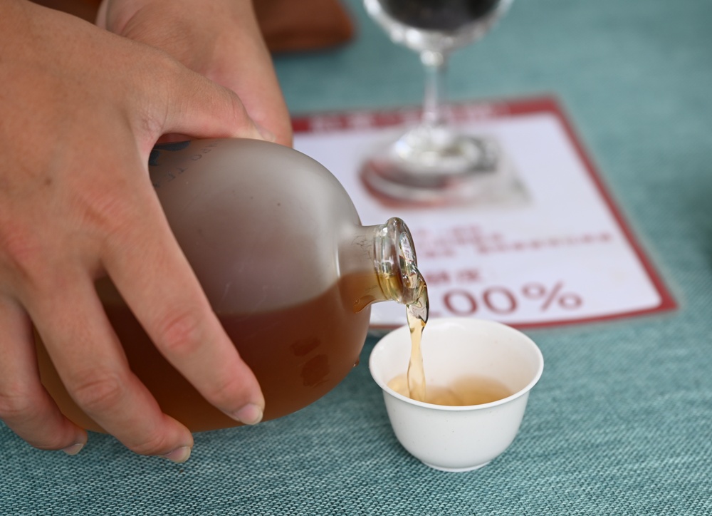 2025阿里山四季茶旅｜秋季茶會 跨越國界的茶旅盛宴！