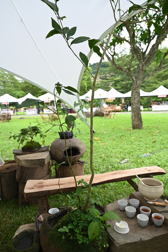 2025阿里山四季茶旅｜秋季茶會 跨越國界的茶旅盛宴！