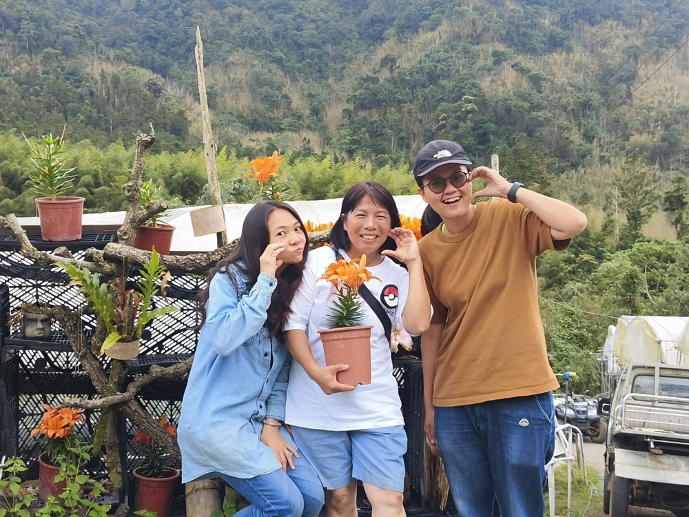 2025阿里山百合花季｜30多種百合花、重瓣百合、荷蘭玫瑰百合 樂野村浪漫登場 x 有限責任嘉義縣阿里山百合生產合作社！