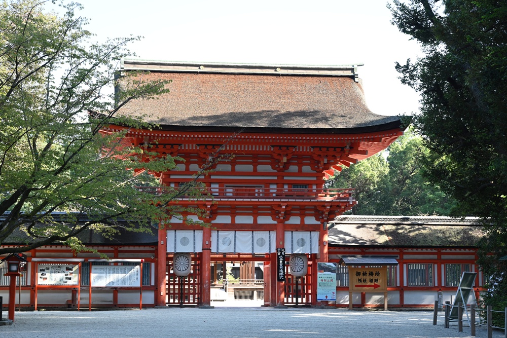 出國必備神器！飛譯通2.0 WiFi機 翻譯+網路分享 一次搞定！10月限時破盤價只要 $69/日！(🇯🇵 日本/🇰🇷 韓國)