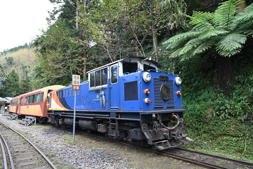 嘉義中埔包棟民宿推薦|隨緣居民宿 像家一樣自在的療癒小旅行! 嘉義中埔包棟民宿推薦|隨緣居民宿 像家一樣自在的療癒小旅行!