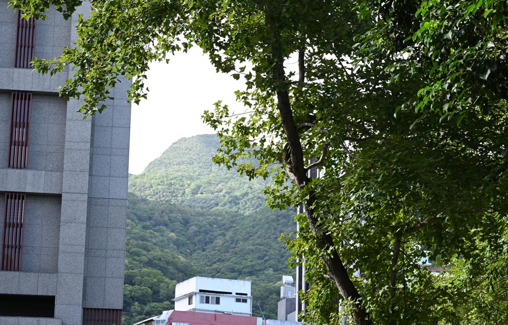 宜蘭礁溪足浴一條街 礁溪散策漫遊、15家養生館推薦！