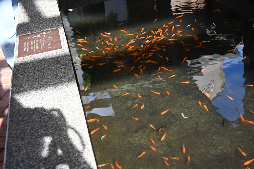 宜蘭礁溪足浴一條街 礁溪散策漫遊、15家養生館推薦！