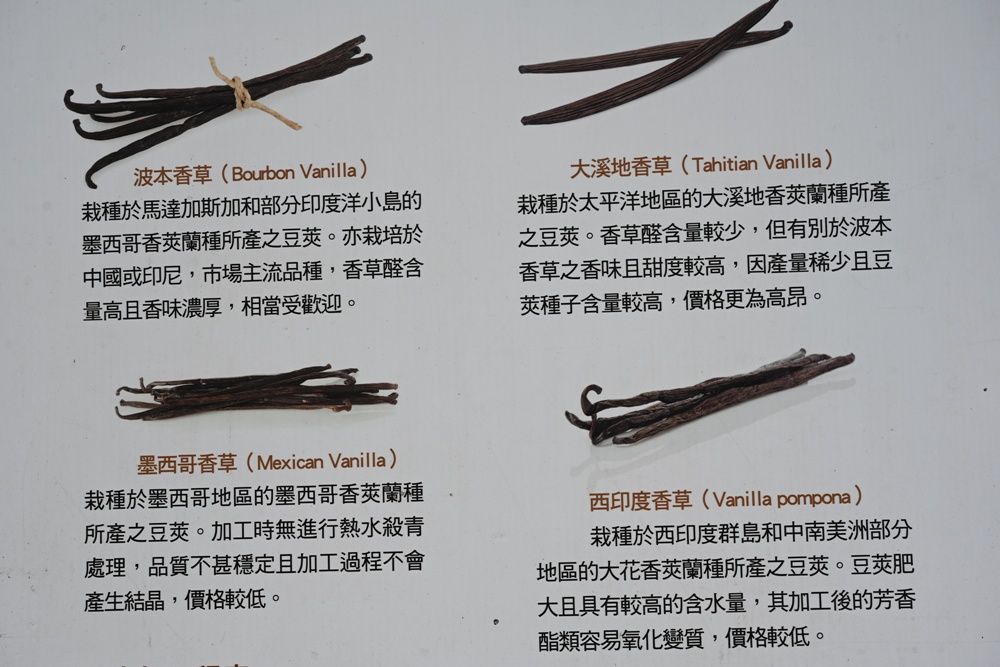 屏東佳冬｜向陽香莢蘭園 光電板下綻放的「香料皇后」榮獲2024、2025比利時iTQi三星獎！香草下午茶、DIY香草精！