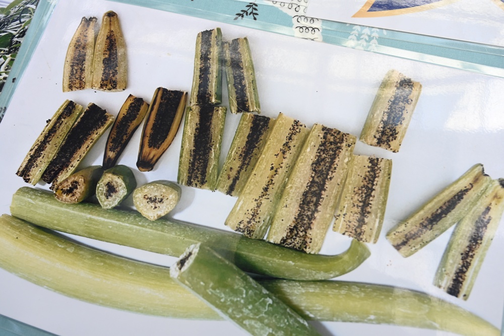 屏東佳冬｜向陽香莢蘭園 光電板下綻放的「香料皇后」榮獲2024、2025比利時iTQi三星獎！香草下午茶、DIY香草精！