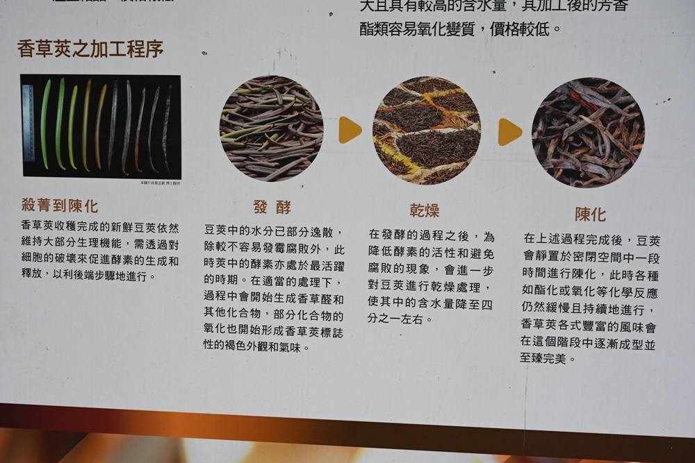 屏東佳冬｜向陽香莢蘭園 光電板下綻放的「香料皇后」榮獲2024、2025比利時iTQi三星獎！香草下午茶、DIY香草精！