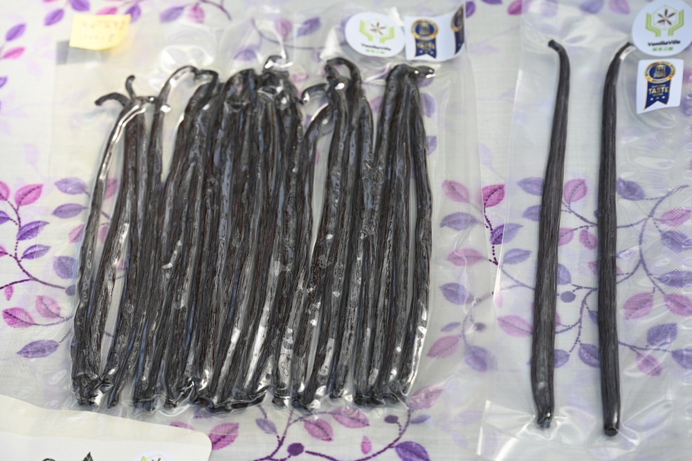 屏東佳冬｜向陽香莢蘭園 光電板下綻放的「香料皇后」榮獲2024、2025比利時iTQi三星獎！香草下午茶、DIY香草精！