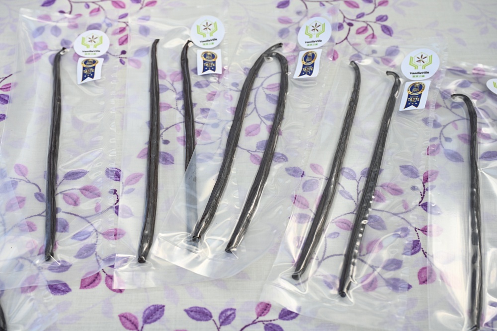 屏東佳冬｜向陽香莢蘭園 光電板下綻放的「香料皇后」榮獲2024、2025比利時iTQi三星獎！香草下午茶、DIY香草精！