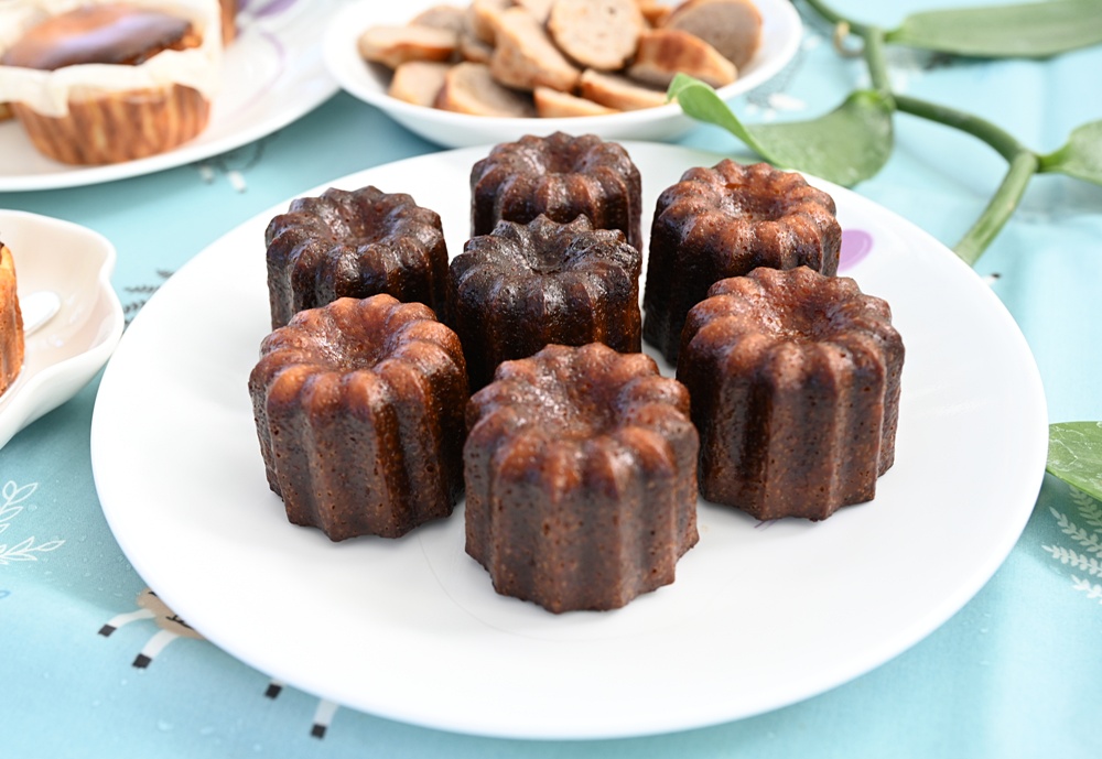 屏東佳冬｜向陽香莢蘭園 光電板下綻放的「香料皇后」榮獲2024、2025比利時iTQi三星獎！香草下午茶、DIY香草精！