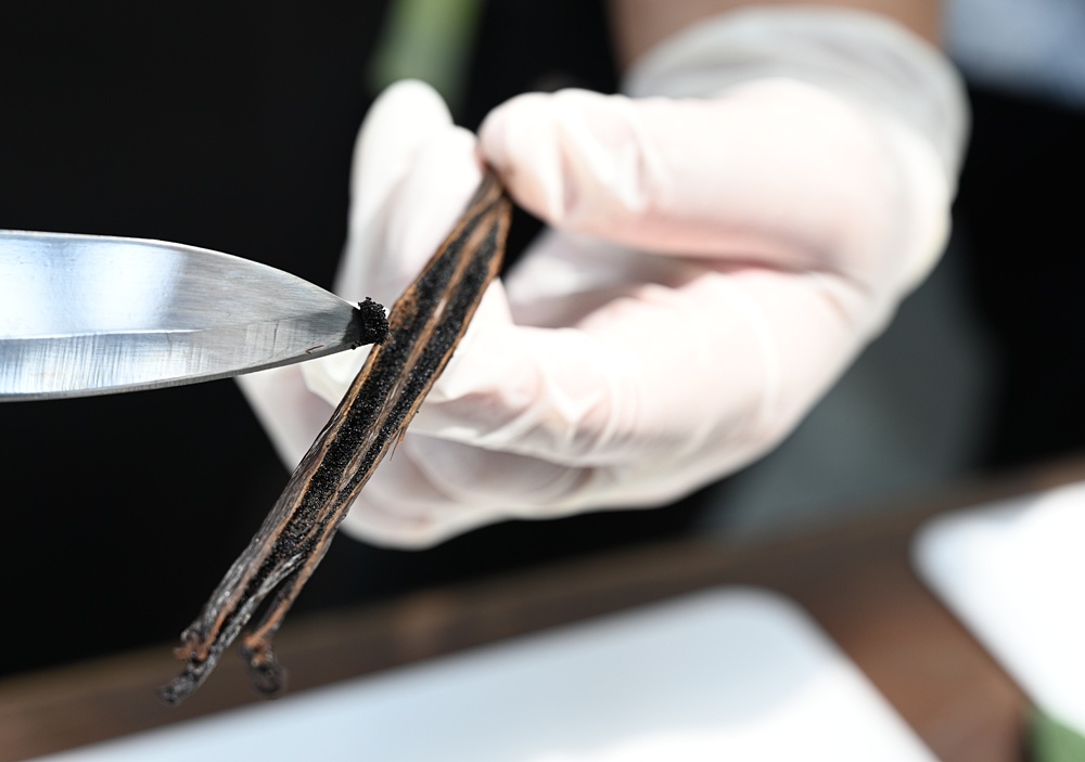 屏東佳冬｜向陽香莢蘭園 光電板下綻放的「香料皇后」榮獲2024、2025比利時iTQi三星獎！香草下午茶、DIY香草精！