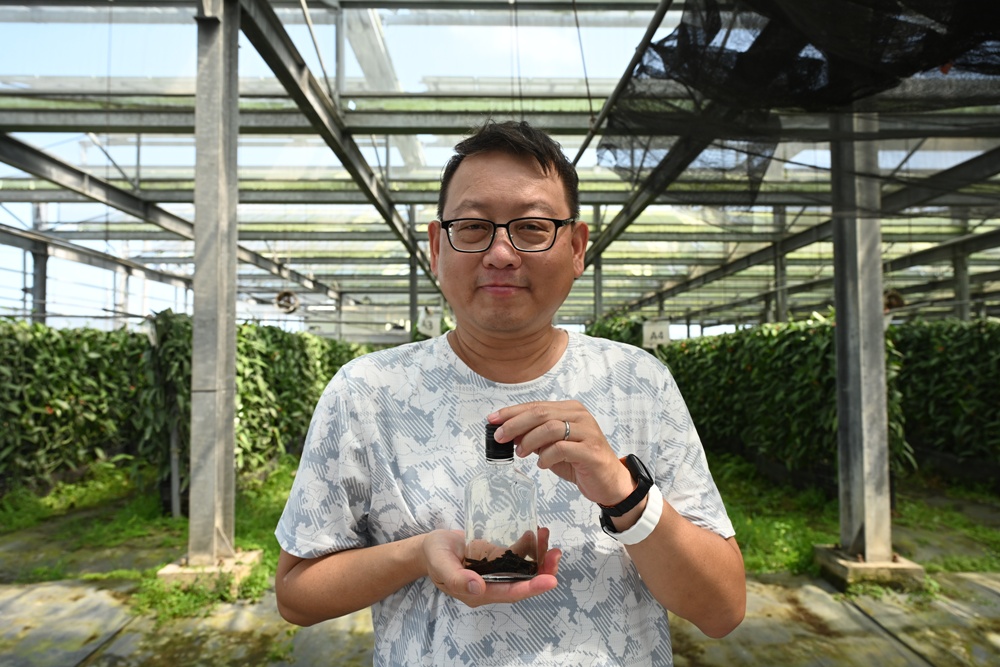 屏東佳冬｜向陽香莢蘭園 光電板下綻放的「香料皇后」榮獲2024、2025比利時iTQi三星獎！香草下午茶、DIY香草精！