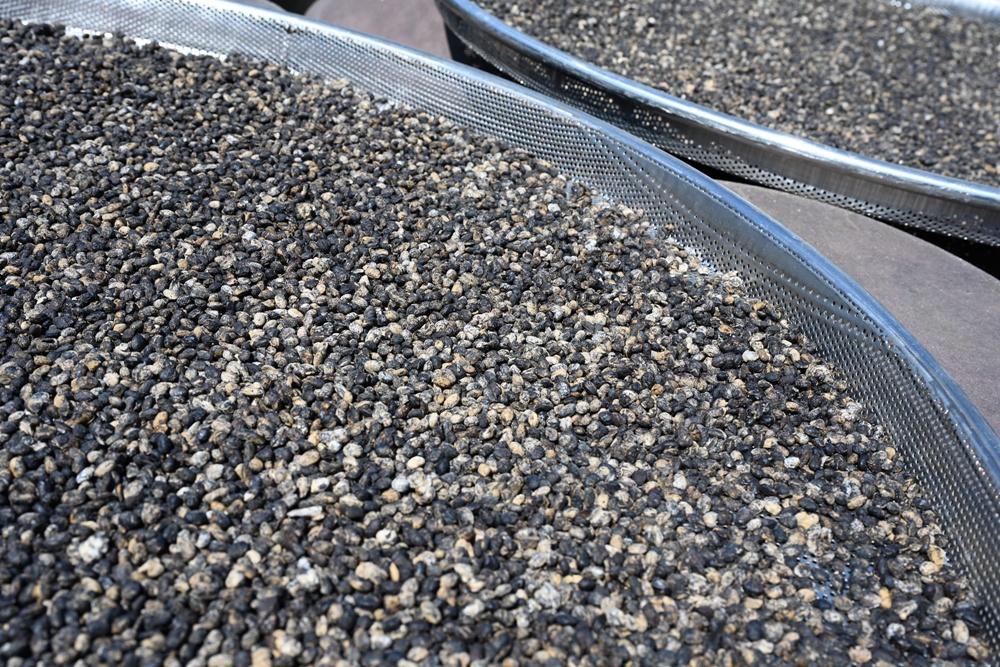 品牌一條街！雲林西螺米醬一條街、新港奉天宮神菓子一條街！探索城市的在地魅力！