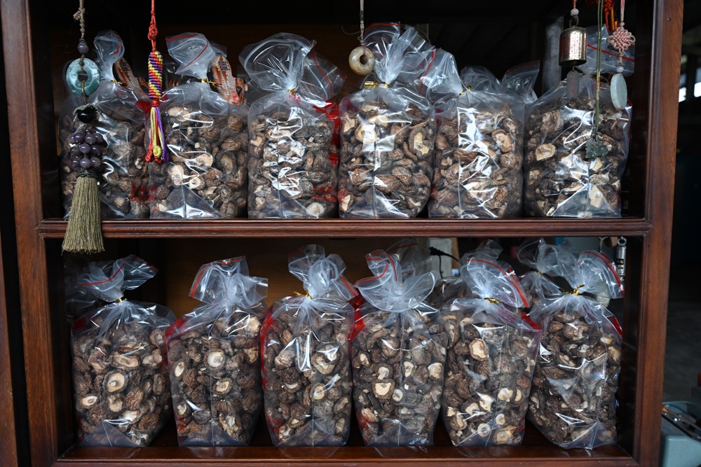 雲林古坑好好玩！雲林古坑美食、DIY烘豆體驗、住宿推薦！探索咖啡山城的慢活魅力！