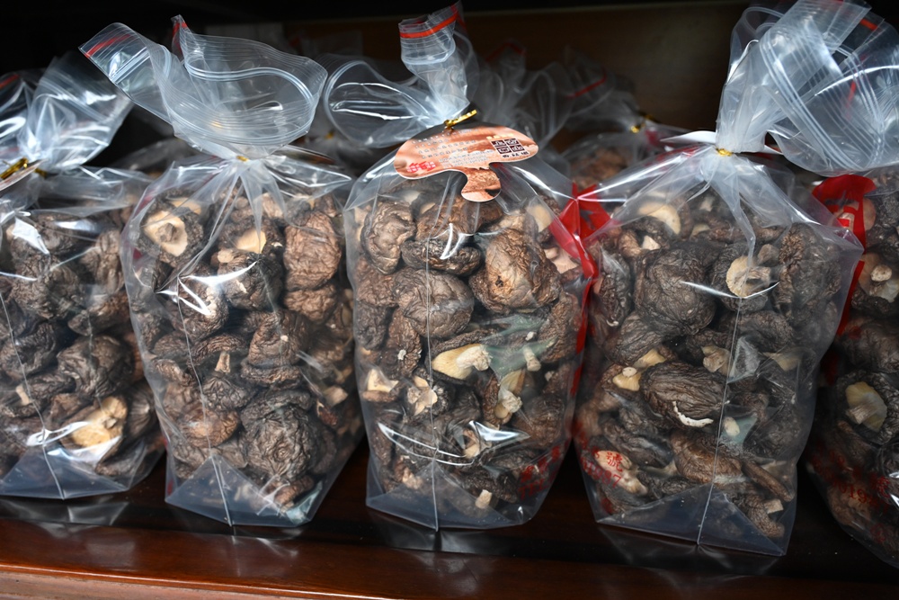 雲林古坑好好玩！雲林古坑美食、DIY烘豆體驗、住宿推薦！探索咖啡山城的慢活魅力！