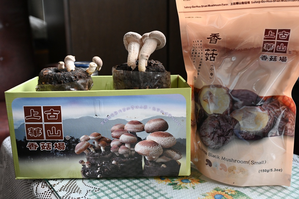 雲林古坑好好玩！雲林古坑美食、DIY烘豆體驗、住宿推薦！探索咖啡山城的慢活魅力！