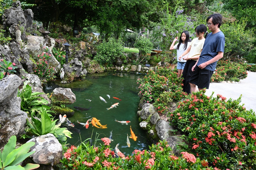 雲林古坑好好玩！雲林古坑美食、DIY烘豆體驗、住宿推薦！探索咖啡山城的慢活魅力！